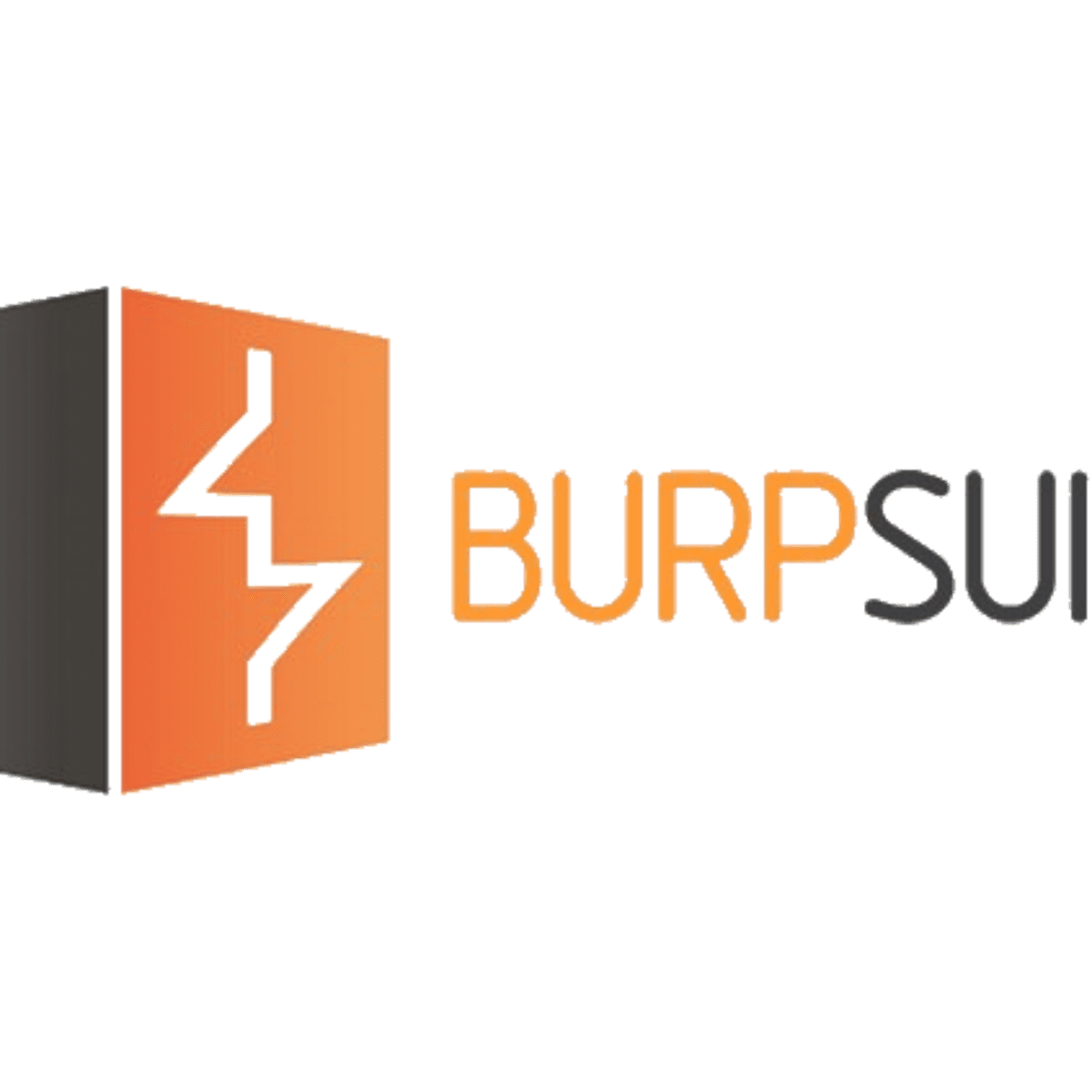 BurpSuite